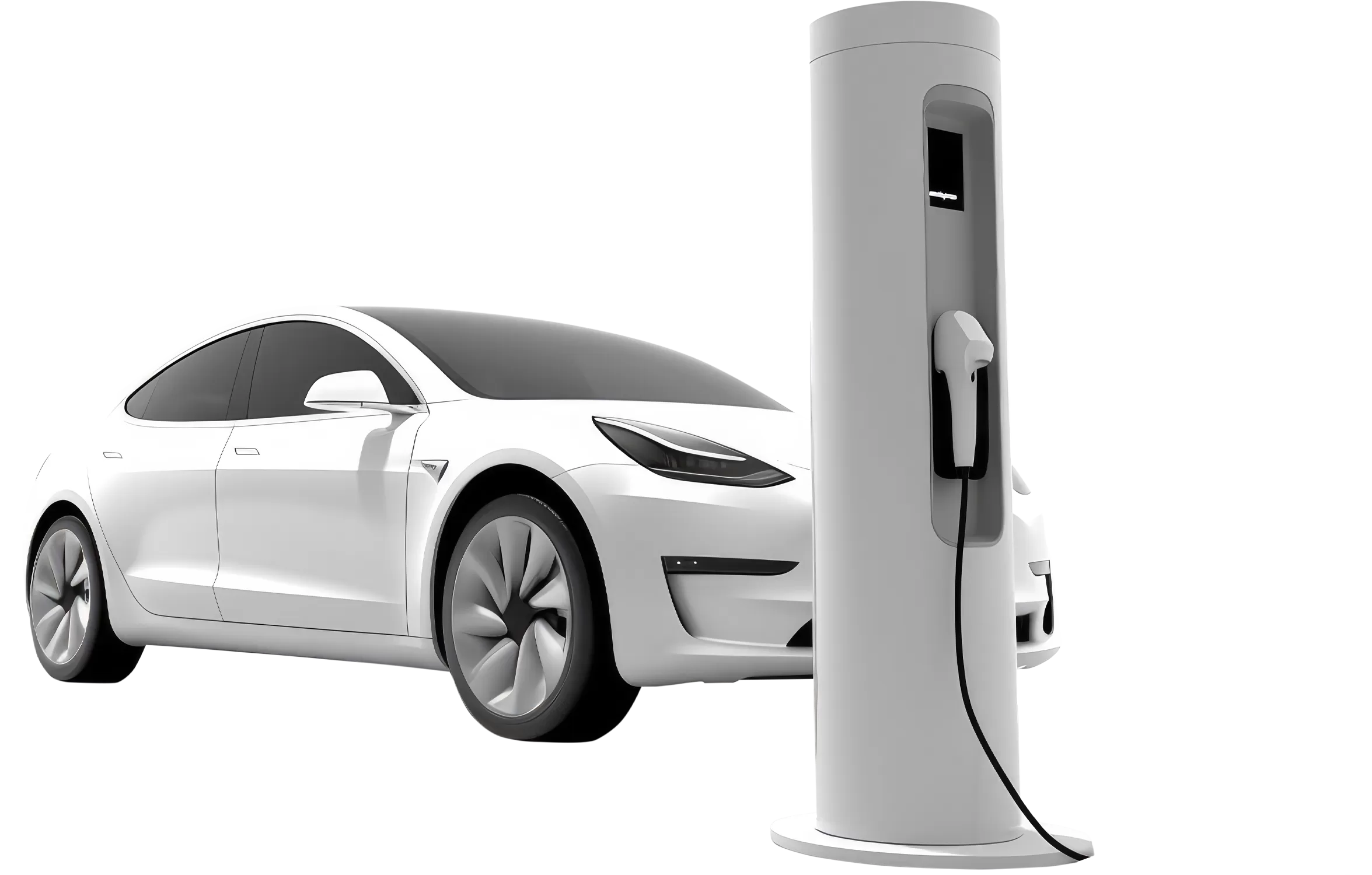 Anasayfa(full-kutu-2)