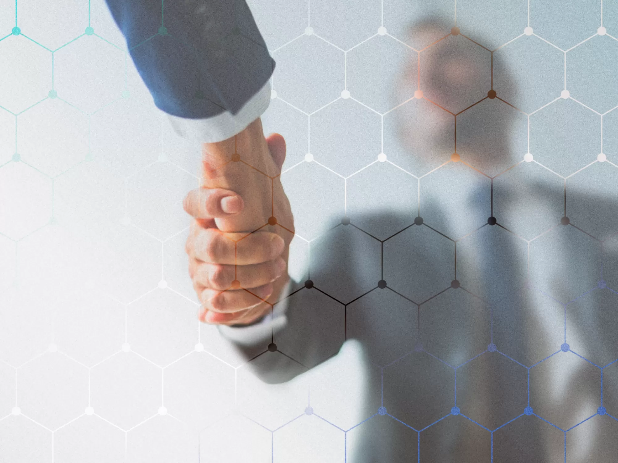 About Us(full-kutu-2)